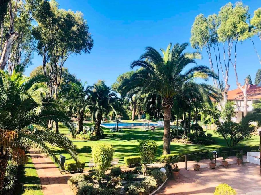 Puerto Banus Eddie Suite Marbella Dış mekan fotoğraf