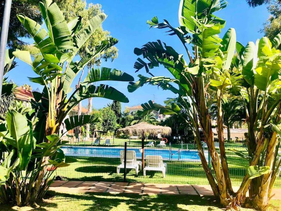 Puerto Banus Eddie Suite Marbella Dış mekan fotoğraf